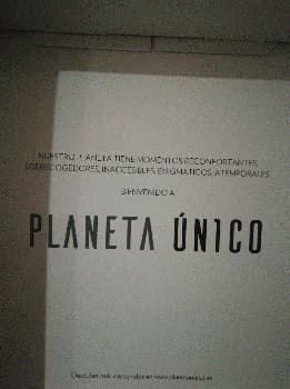 Planeta único el planeta hecho arte
