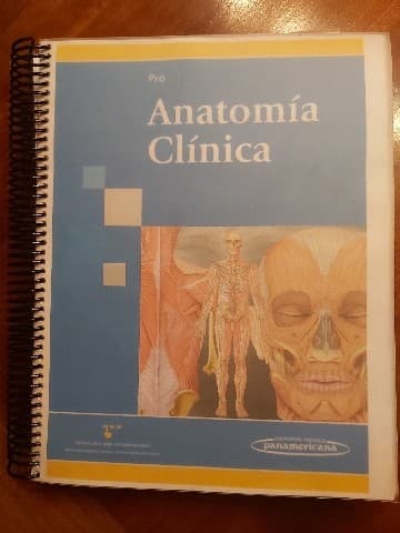 Anatomía Clínica