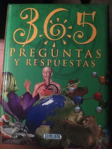 365 Preguntas y Respuestas