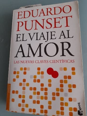 EL VIAJE AL AMOR