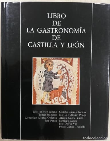 LIBRO DE LA GASTRONOMÍA DE CASTILLA Y LEÓN - VVAA