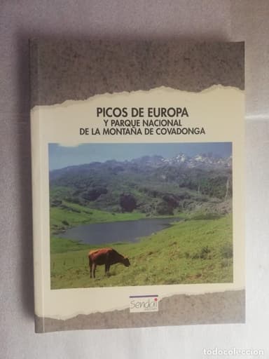 PICOS DE EUROPA Y PARQUE NACIONAL DE LA MONTAÑA DE COVADONGA