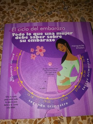 El ciclo del embarazo : todo lo que una mujer debe saber sobre su embarazo