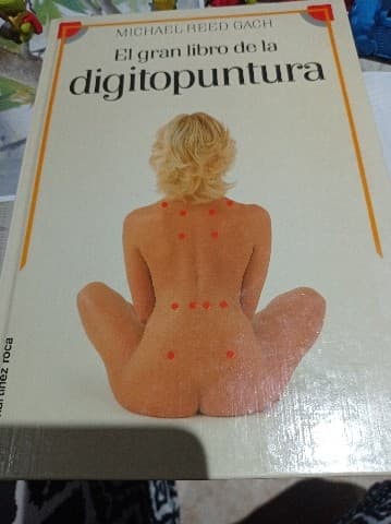 Gran Libro De La Digitopuntura