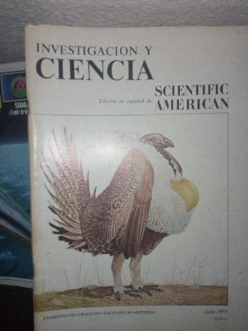 Investigación y ciencia