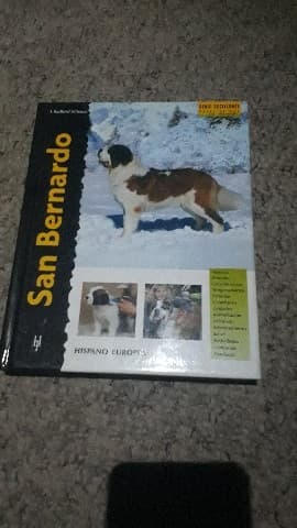 San Bernardo (Excellence)