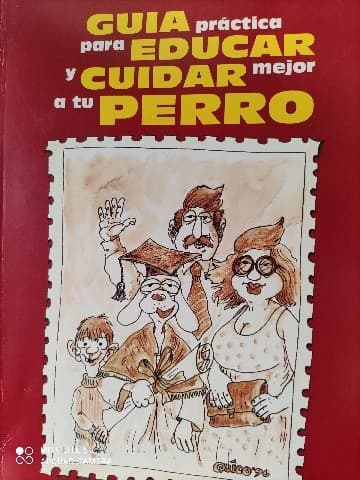 Guía práctica para educar y cuidar mejor a tu perro