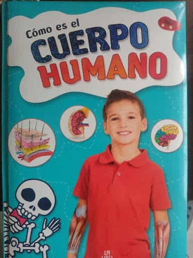 Cómo es el cuerpo humano