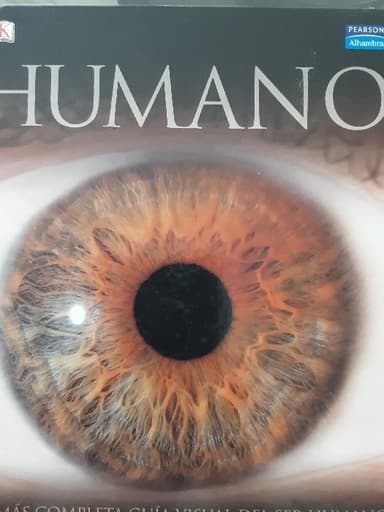 Humano