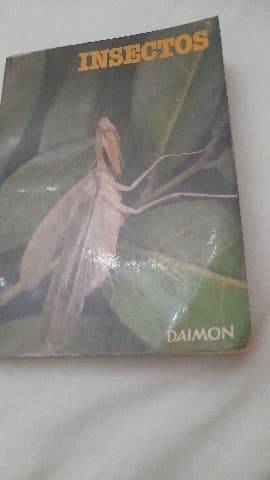 Insectos y arácnidos