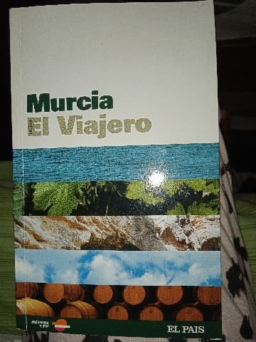 Murcia. El viajero.