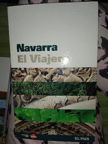 Navarra. El viajero.