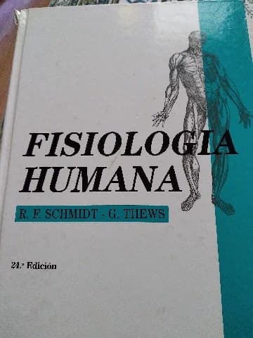 Fisiologia humana