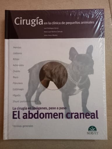 El abdomen craneal