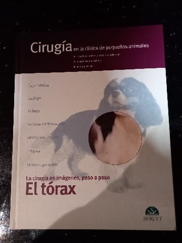 Cirugía en la clínica de pequeños animales : La cirugía en imágenes, paso a paso : El tórax