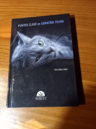 Puntos clave en geriatría felina