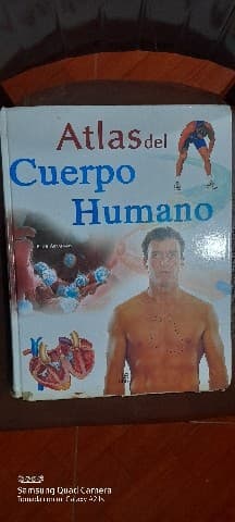 Atlas Del Cuerpo Humano  Atlas of the Human Body