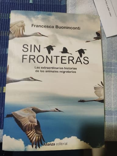 Sin fronteras