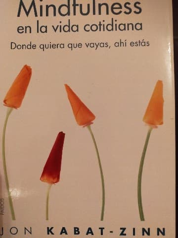 Mindfulness en la vida cotidiana