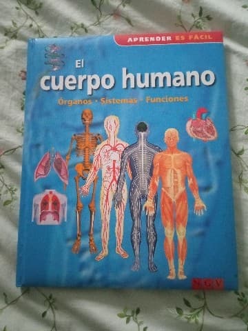 The Body (Compact Knowledge)