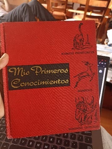 mis primeros conocimientos 
