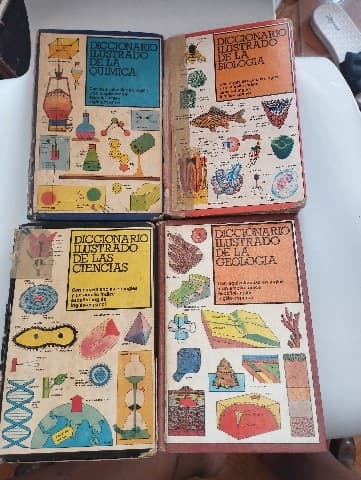 Diccionario Ilustrado 