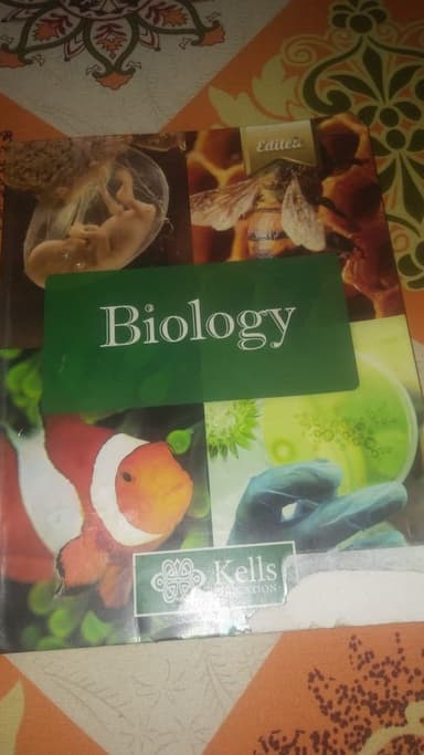 Byology 