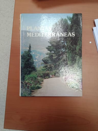 Plantas Mediterraneas