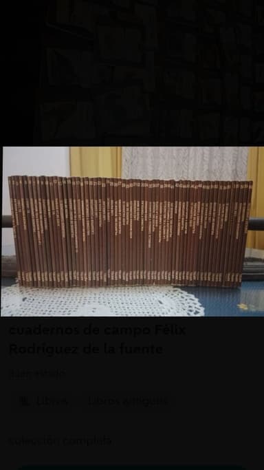 Cuadernos de campo 
