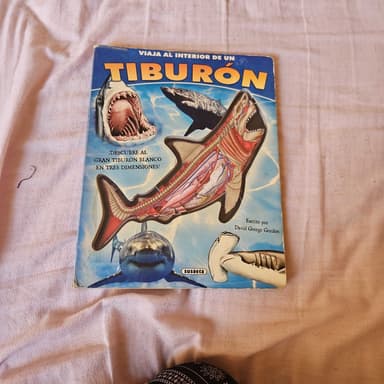 Tiburón