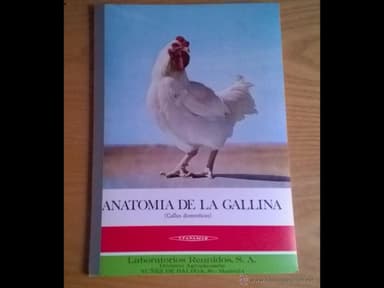 ANATOMIA DE LA GALLINA