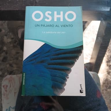 Pajaro al Viento