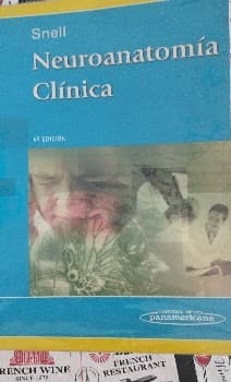 Neuroanatomia clinica. - 6. ed.