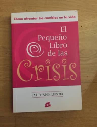 El Pequeño Libro de las Crisis