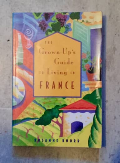 The grown-ups guide to living in France