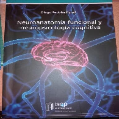 Neuroanatomía funcional y neuropsicología cognitiva