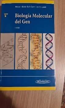 Biología molecular del gen