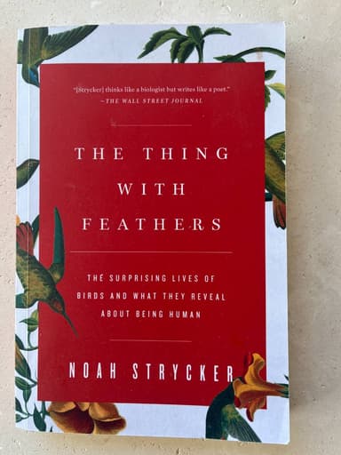 The Thing with Feathers
