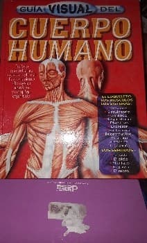 El Cuerpo Humano