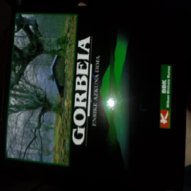 Gorbeia