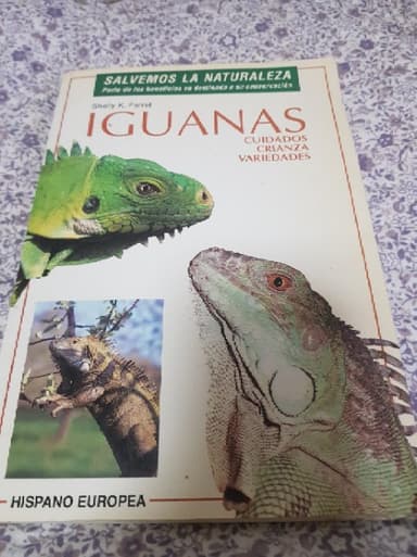 Iguanas/ Iguanas As a Hobby