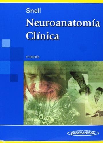 Neuroanatomia clinica. - 6. ed.