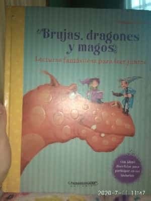 Brujas dragones y magos