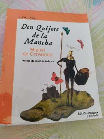 Don Quijote de La Mancha (Elementary and Middle School Edition) (Clasicos Esenciales Santillana)