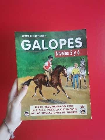 CURSO DE EQUITACIÓN. GALOPES NIVELES 5 Y 6