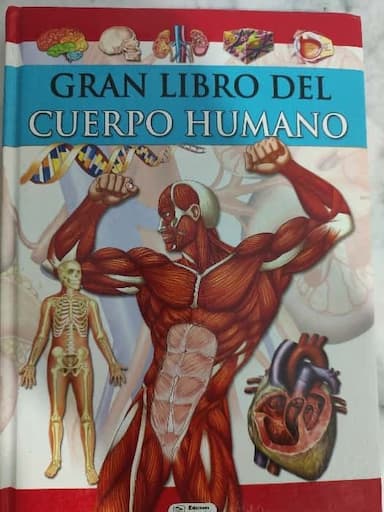 Gran Libro Del Cuerpo Humano