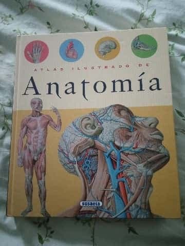 Atlas Ilustrado de Anatomia Anatomy Illustrated Atlas