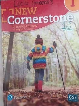 New Cornerstone Grade 1 aB Student Edition with EBook (soft Cover)