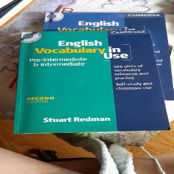 English Vocabulary in Use Pre-Intermediate and Intermediate Book (Vocabulary in Use)