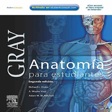 Gray anatomía para estudiantes - 2. ed.